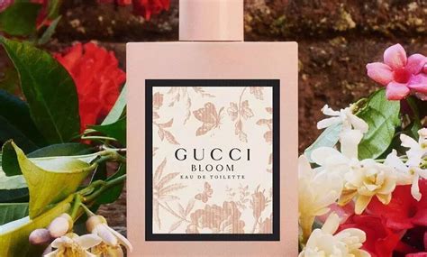 bloom de gucci a que huele|gucci bloom for women.